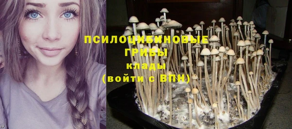 кокс Верхний Тагил