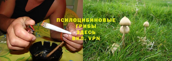 прущая мука Верея