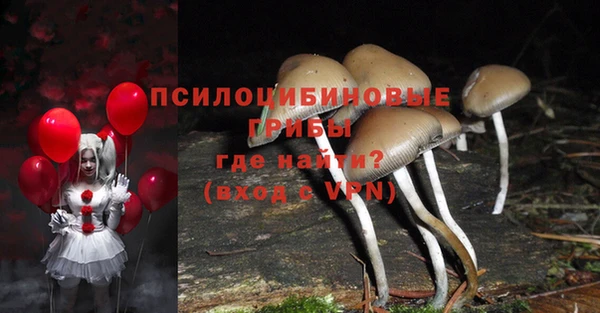 прущая мука Верея
