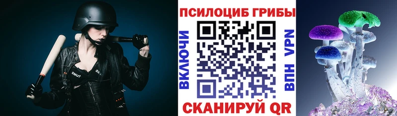 Галлюциногенные грибы мицелий Лодейное Поле